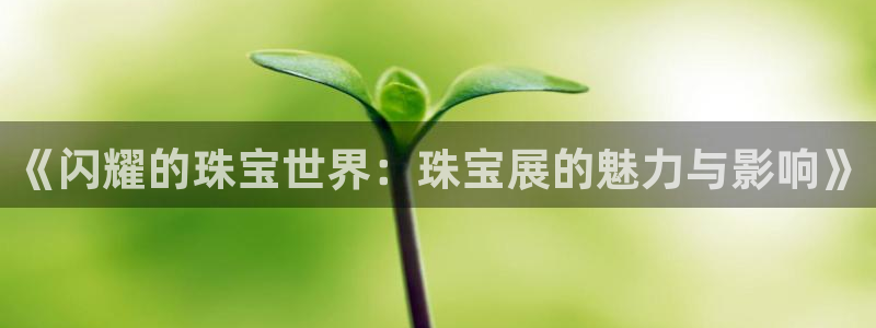 新航娱乐有限公司招聘:《闪耀的珠宝世界:珠宝展的魅力与影响》