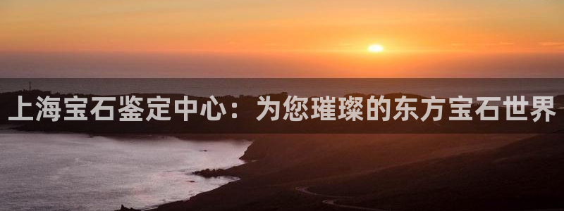 新航头等舱套房娱乐屏:上海宝石鉴定中心:为您璀璨的东方宝石世