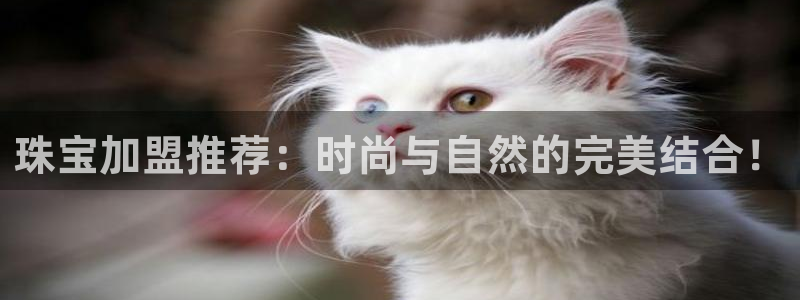 新航娱乐官网地址:珠宝加盟推荐:时尚与自然的完美结合!