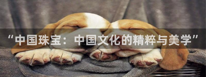 新航头等舱套房娱乐屏:“中国珠宝:中国文化的精粹与美学”