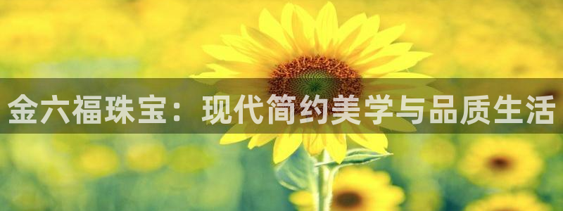 新航娱乐开户:金六福珠宝:现代简约美学与品质生活